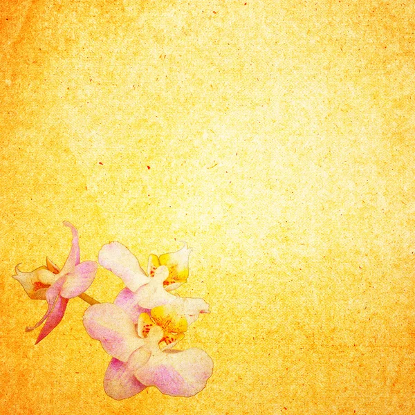 Fondo de papel viejo texturizado con flor — Foto de Stock