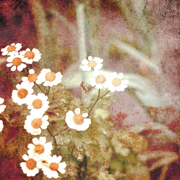 Grunge blomsterbakgrunn – stockfoto
