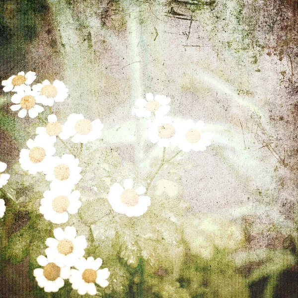 Grunge mit blumigem Hintergrund — Stockfoto