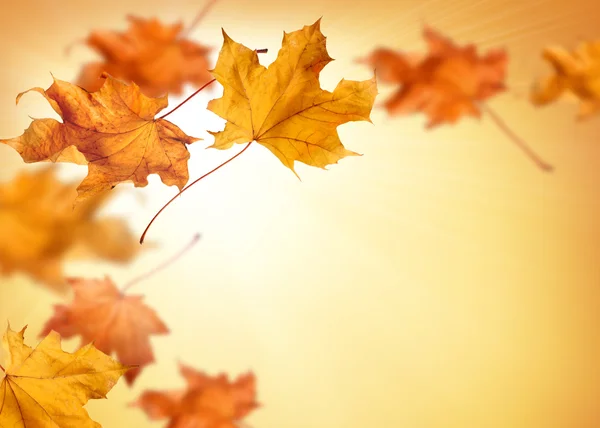 Herbst Hintergrund mit fallenden Herbstblättern lizenzfreie Stockfotos