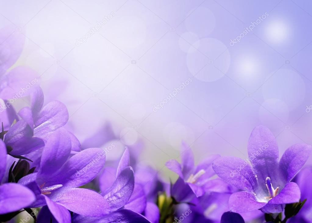 Abstract spring flowers background with purple flowers