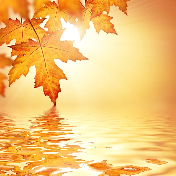 Oranje herfstbladeren grens achtergrond — Stockfoto