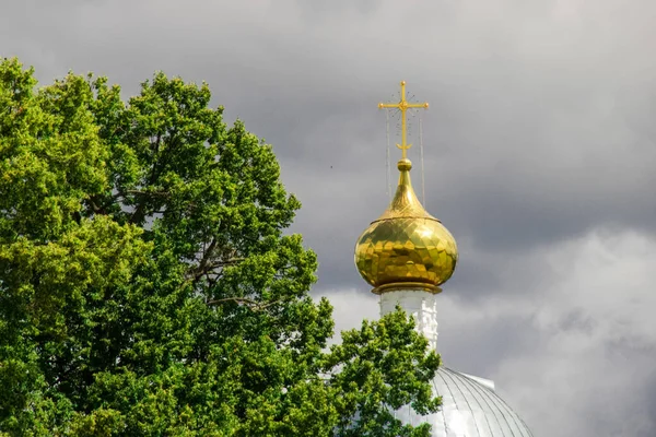 Купол Церкви Выглядывает Дерева Облачное Небо — стоковое фото
