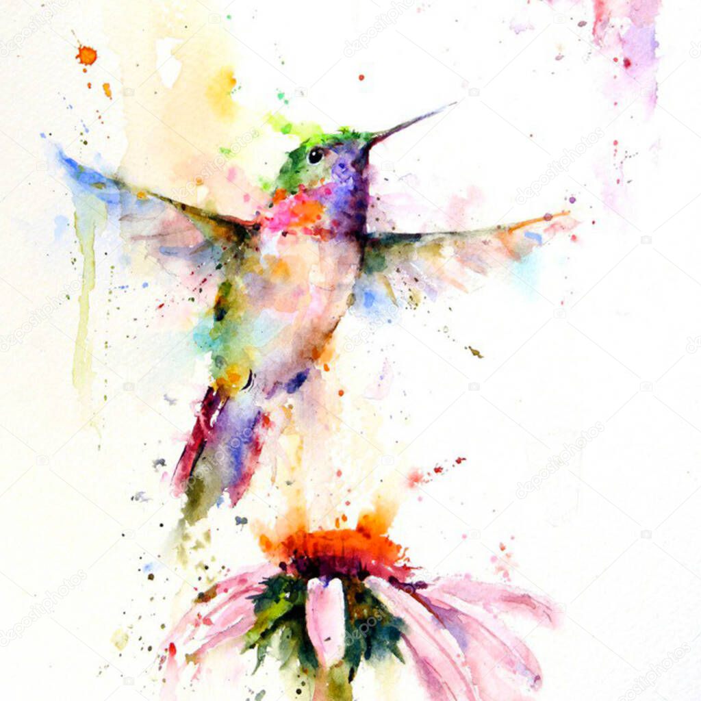 Hummingbird at the flower, drawing with watercolor.
