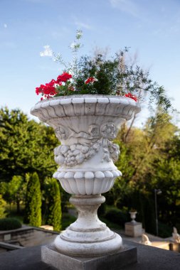 Valea Morilor Park, Chisinau, Moldova 'da bir terasta duran kırmızı çiçekli ve yeşillikli dekoratif taş bir vazo. Süslü klasik tasarım, yumuşak doğal ışık ve yemyeşil arka plan huzurlu bir yaz ortamı yaratır..