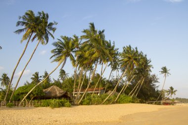 Günbatımı plajda Tangalle, Sri Lanka
