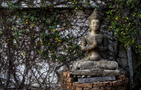 Buddhism for statues or models of the Buddha portrait with soft-focus and over light in the background