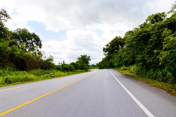 Bosque Naturaleza Carretera Fondo — Foto de Stock