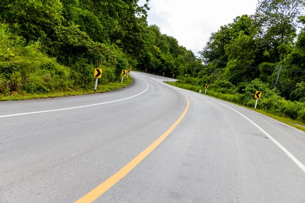 Orman doğası karayolu arka planı