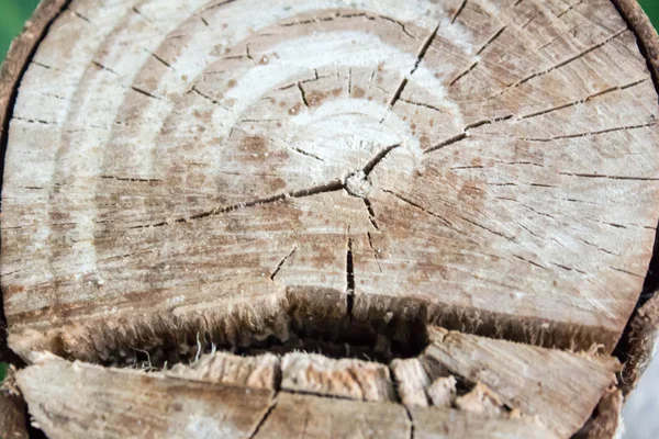 Madera marrón — Foto de Stock