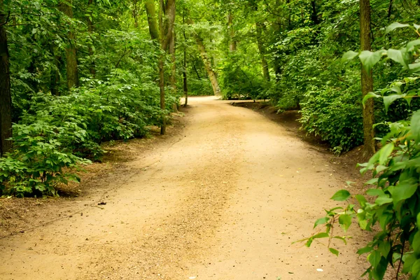 Parque — Foto de Stock