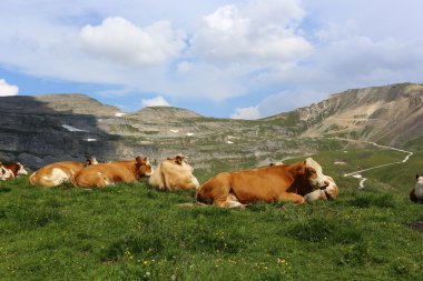 Romsdalseggen ridge zammı
