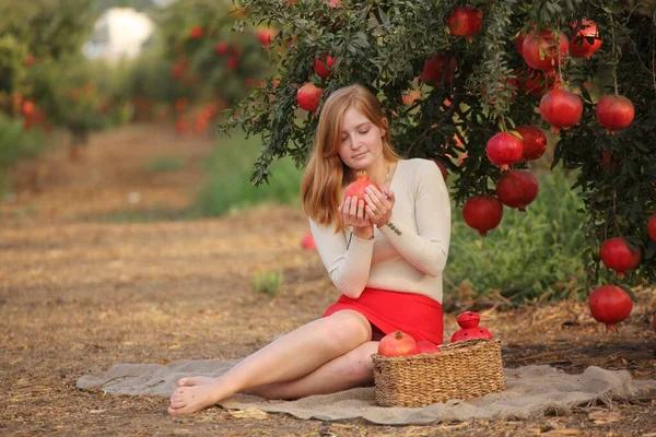 Красива Дівчина Помежгранатському Саду Блум Янка Ізраїлі Захід Сонця Рош — стокове фото