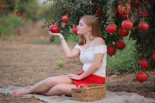 Prachtig Meisje Granaatappeltuin Bloeiend Israël Zonsondergang Rosh Hashanah — Stockfoto