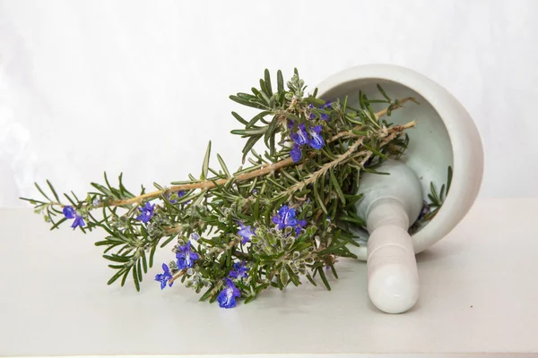 Herbal Treatment — Stock Photo, Image