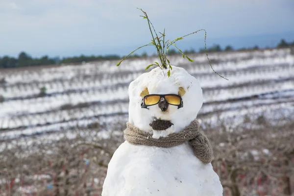 Kardan adam kar günü İsrail
