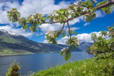 Norveç fiyortları bahar tarafından