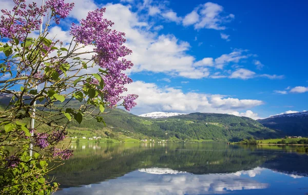 Paisagem mágica da Noruega em maio — Fotografia de Stock