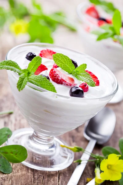 Zelfgemaakte Fruit yoghurt — Stockfoto