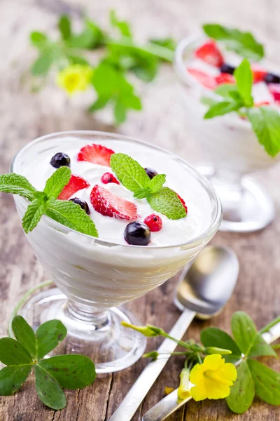 Kommen van yoghurt — Stockfoto
