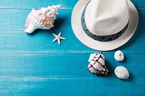 Yaz aksesuarları ve deniz kabukları