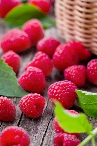 Bunch Of Raspberries — Stock Photo, Image