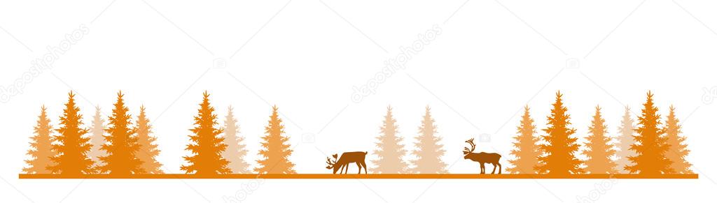 Reindeers In The Forest In The Fall