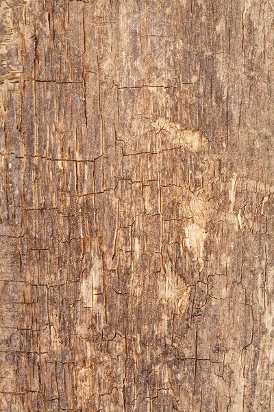 ไม้เก่า — ภาพถ่ายสต็อก