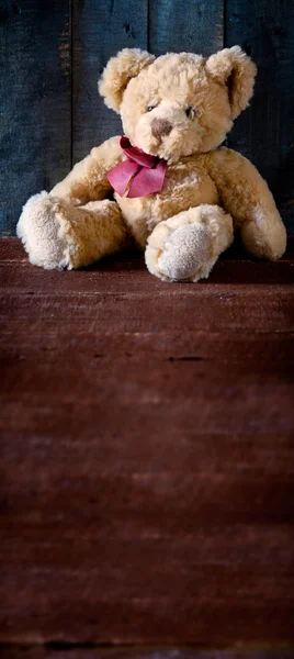Bonito urso de pelúcia marcador — Fotografia de Stock