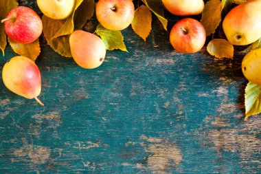 Sonbahar düşmüş meyveler afiş