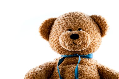 Oyuncak ayı yükselişte