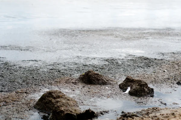 Poluição do Mar Báltico. Sopot, Polónia Imagens De Bancos De Imagens