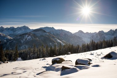 Dağ manzarası. Polonya Tatras