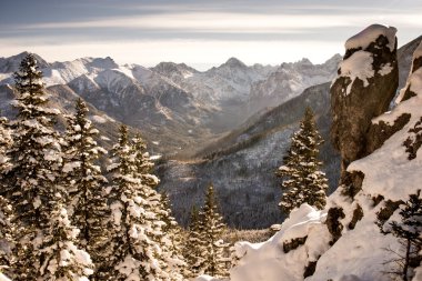 Dağ manzarası. Polonya Tatras