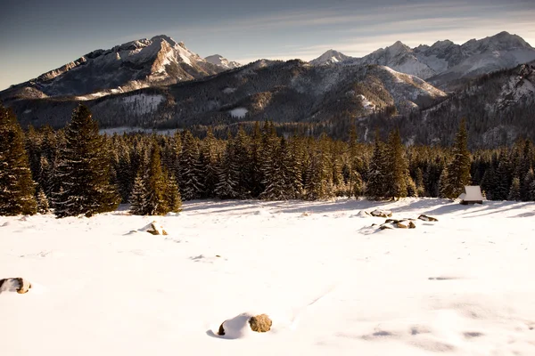 Górski krajobraz. Polskie Tatry — Zdjęcie stockowe