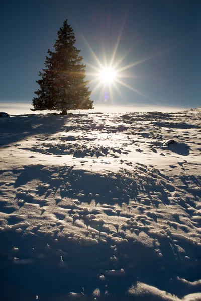 Górski krajobraz. Polskie Tatry — Zdjęcie stockowe