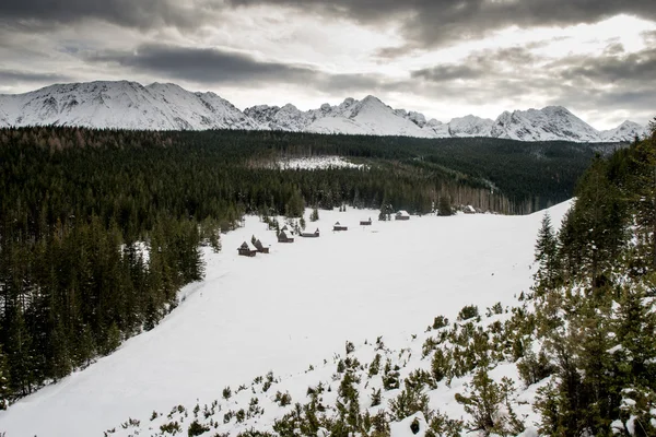 산 풍경입니다. 폴란드어 Tatras — 스톡 사진