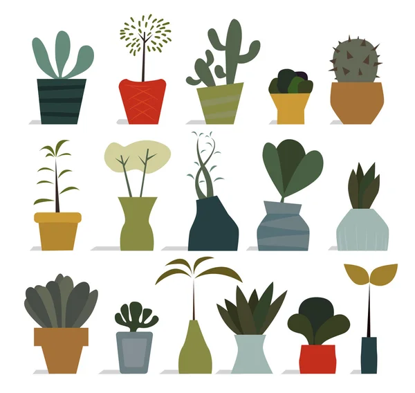 Plantes d'intérieur en pots — Image vectorielle
