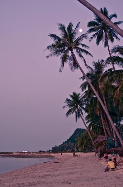 Noche en tropical —  Fotos de Stock