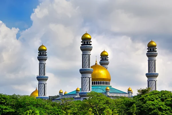 녹색 Jame Asr Hassanil 볼키아 모스크의 아름 다운 보기 — 스톡 사진