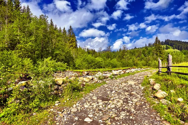 Fantastische Berglandschaft am Morgen. Bunter Himmel. Karpaten, — Stockfoto