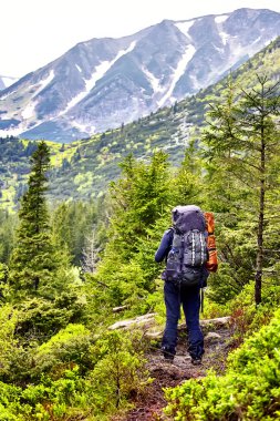 Turistik dağ panoram seyir ormanda bir sırt çantası ile