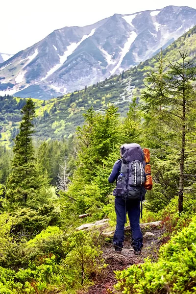 Turysta z plecakiem w lesie patrząc na góry Panorama — Zdjęcie stockowe