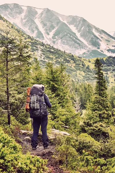 Turysta z plecakiem w lesie patrząc na góry Panorama — Zdjęcie stockowe