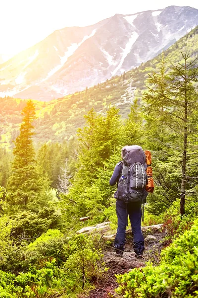 Turist med en ryggsäck i skogen tittar på berget p — Stockfoto
