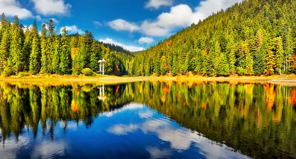 Lago de montanha na floresta — Fotografia de Stock