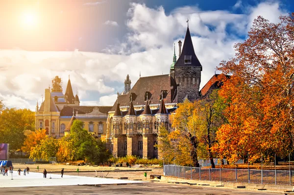 Historiska palats i budapest — Stockfoto