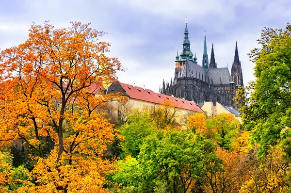 Prag 'daki Aziz Vitus Katedrali — Stok fotoğraf