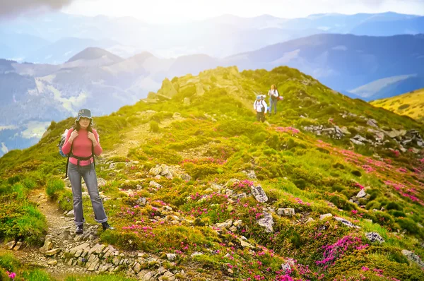 Menina turista em montanhas com uma mochila no pôr do sol — Fotografia de Stock