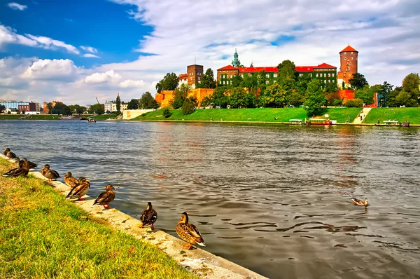 Wawel Kalesi Vistula Nehri üzerinde